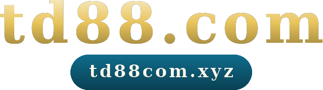 td88.com logo